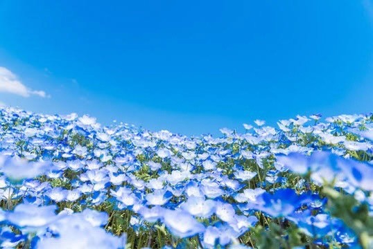 ゴールデンウィーク休診